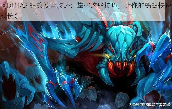 《DOTA2 蚂蚁发育攻略：掌握这些技巧，让你的蚂蚁快速成长》