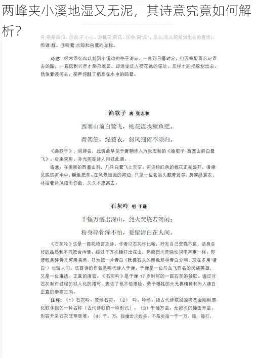 两峰夹小溪地湿又无泥，其诗意究竟如何解析？