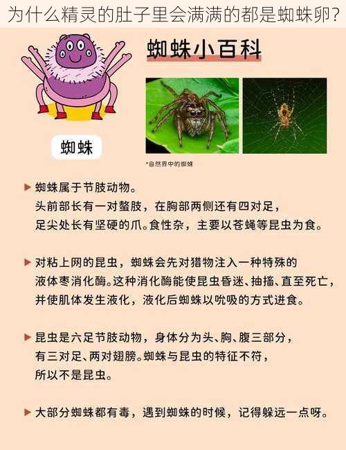 为什么精灵的肚子里会满满的都是蜘蛛卵？