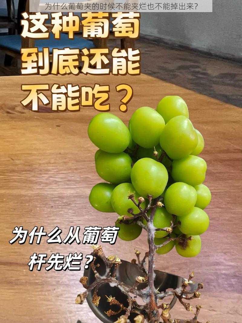 为什么葡萄夹的时候不能夹烂也不能掉出来？