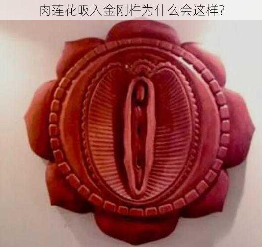 肉莲花吸入金刚杵为什么会这样？