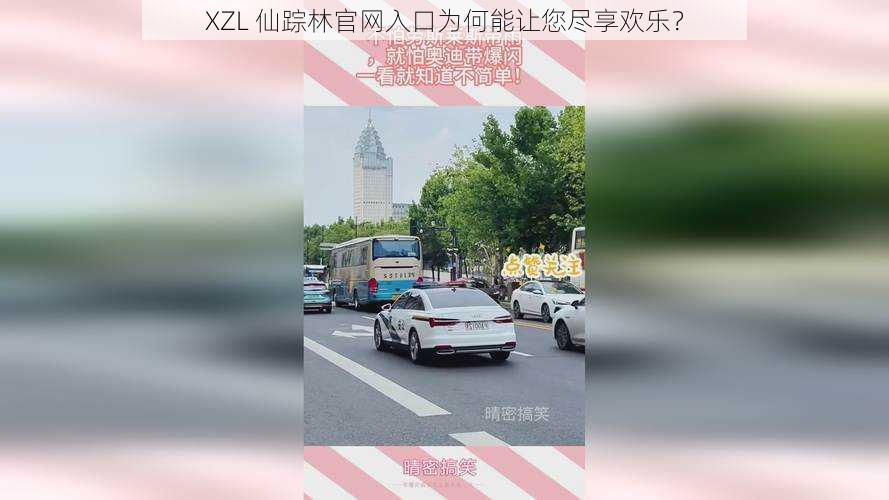 XZL 仙踪林官网入口为何能让您尽享欢乐？