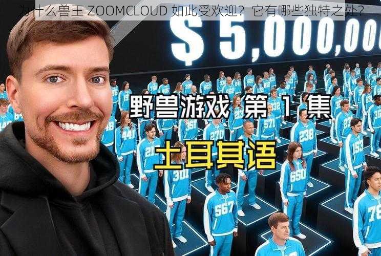 为什么兽王 ZOOMCLOUD 如此受欢迎？它有哪些独特之处？