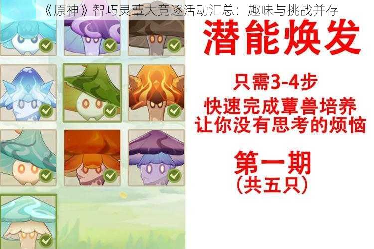 《原神》智巧灵蕈大竞逐活动汇总：趣味与挑战并存