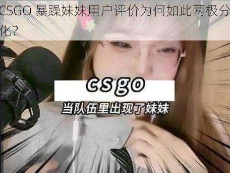 CSGO 暴躁妹妹用户评价为何如此两极分化？