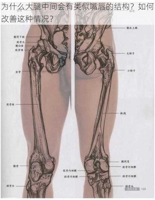 为什么大腿中间会有类似嘴唇的结构？如何改善这种情况？