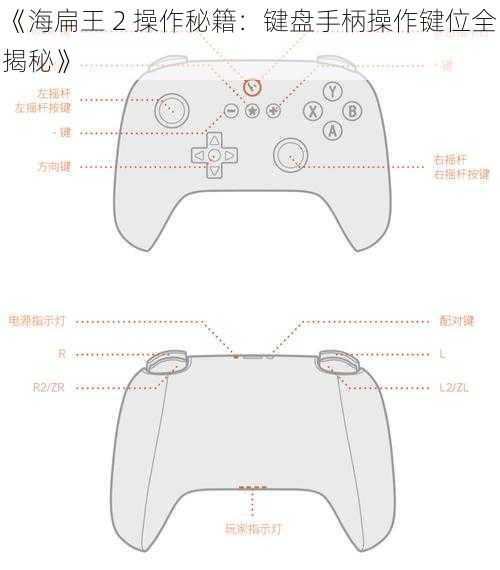 《海扁王 2 操作秘籍：键盘手柄操作键位全揭秘》