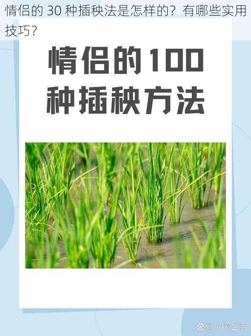 情侣的 30 种插秧法是怎样的？有哪些实用技巧？