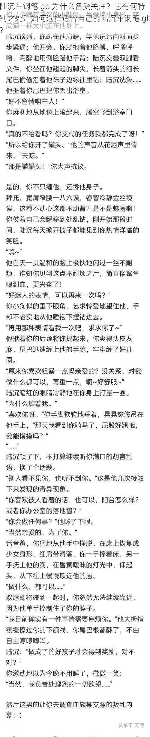 陆沉车钢笔 gb 为什么备受关注？它有何特别之处？如何选择适合自己的陆沉车钢笔 gb？