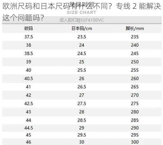 欧洲尺码和日本尺码有什么不同？专线 2 能解决这个问题吗？