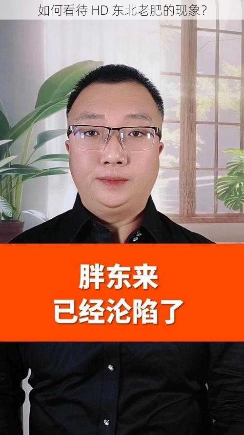 如何看待 HD 东北老肥的现象？