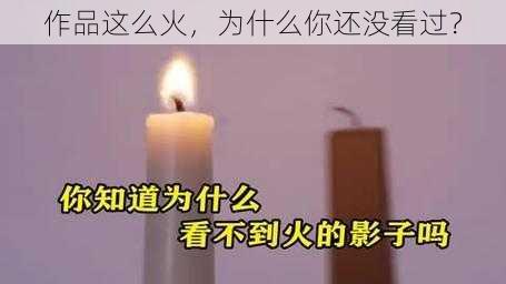 作品这么火，为什么你还没看过？