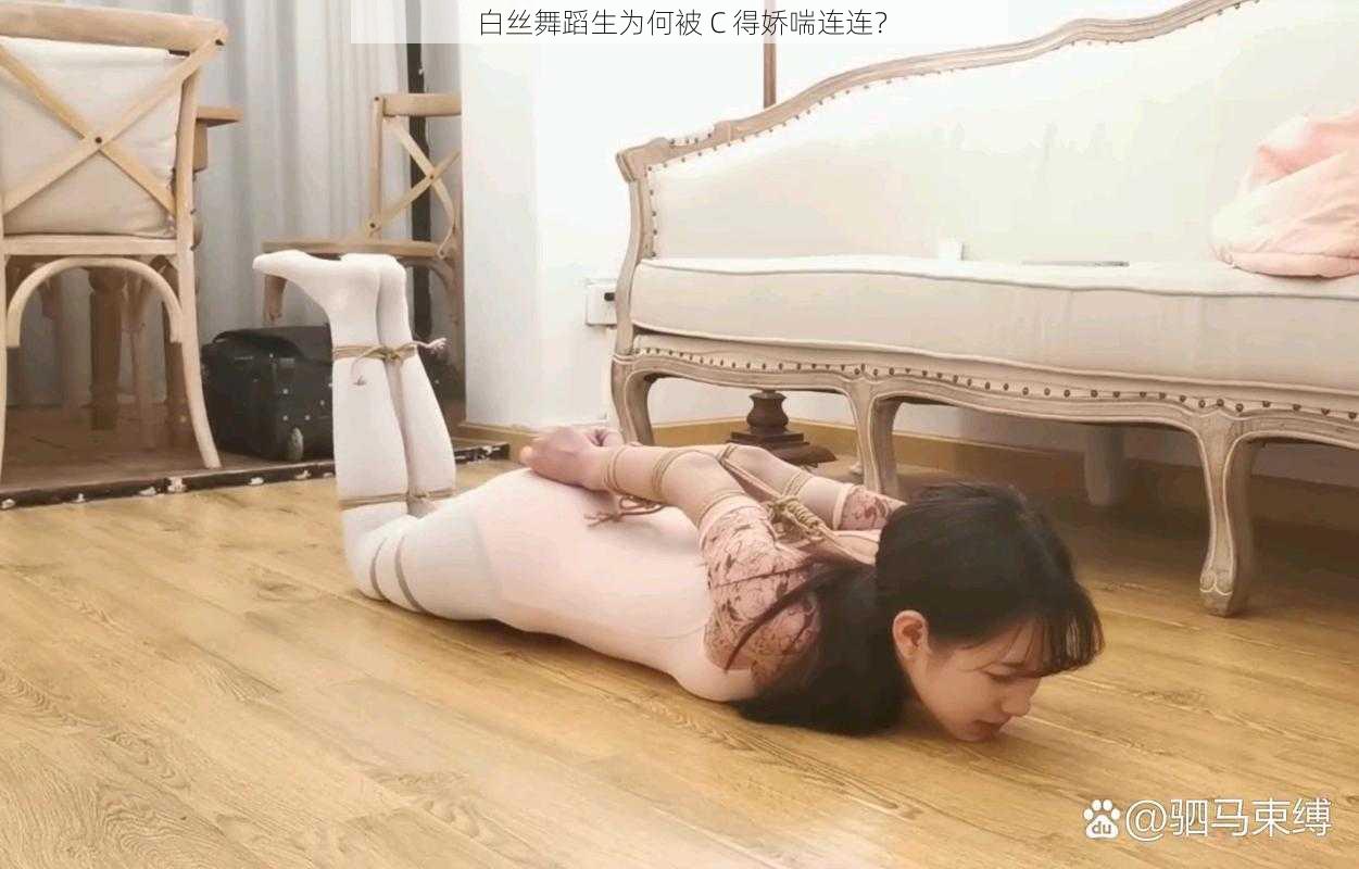 白丝舞蹈生为何被 C 得娇喘连连？