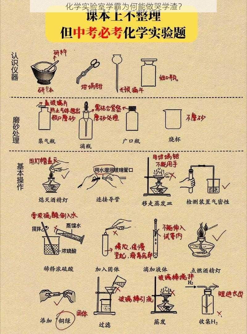 化学实验室学霸为何能做哭学渣？