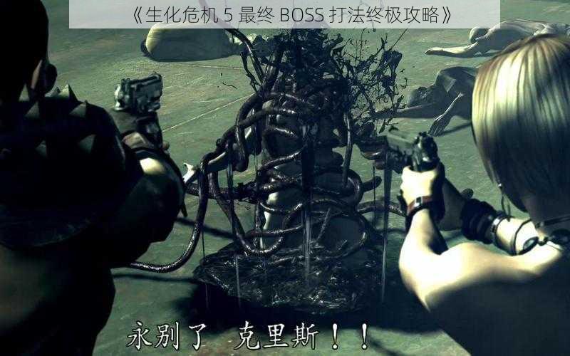 《生化危机 5 最终 BOSS 打法终极攻略》