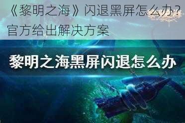 《黎明之海》闪退黑屏怎么办？官方给出解决方案