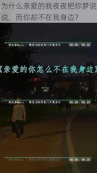 为什么亲爱的我夜夜把你梦说说，而你却不在我身边？