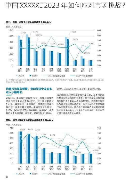 中国 XXXXXL 2023 年如何应对市场挑战？