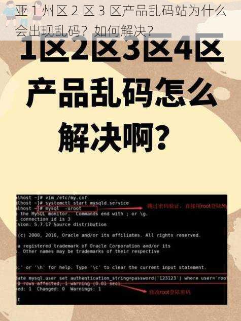 亚 1 州区 2 区 3 区产品乱码站为什么会出现乱码？如何解决？