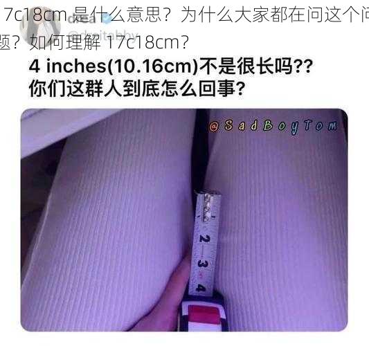 17c18cm 是什么意思？为什么大家都在问这个问题？如何理解 17c18cm？