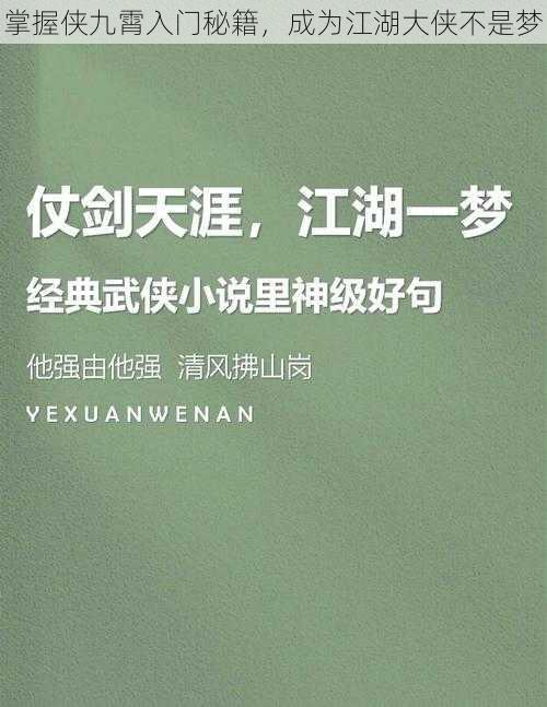 掌握侠九霄入门秘籍，成为江湖大侠不是梦