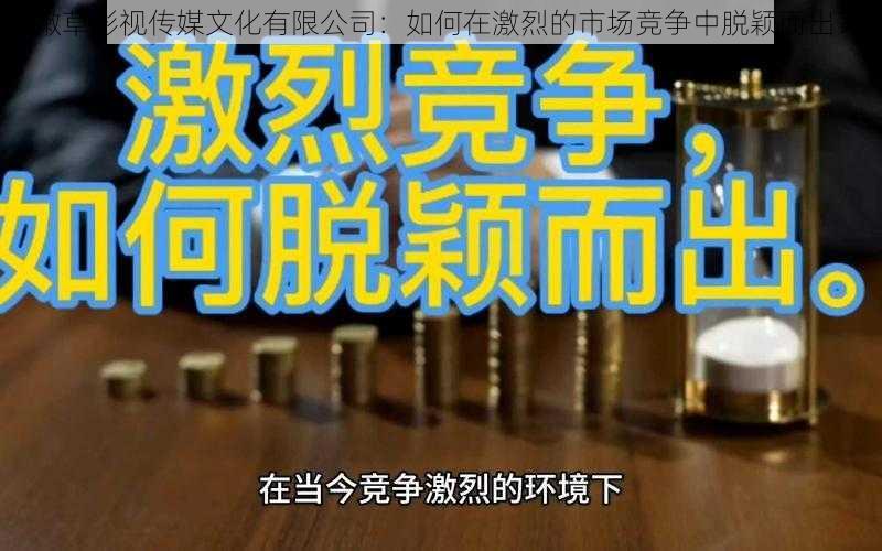 嫩草影视传媒文化有限公司：如何在激烈的市场竞争中脱颖而出？