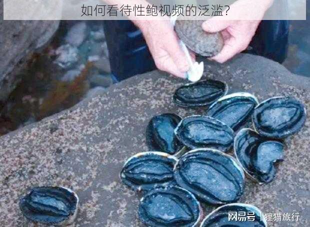 如何看待性鲍视频的泛滥？