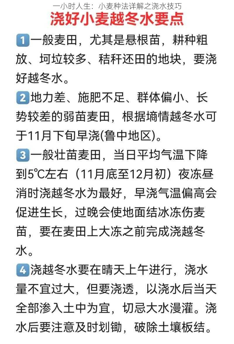 一小时人生：小麦种法详解之浇水技巧