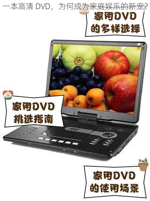 一本高清 DVD，为何成为家庭娱乐的新宠？