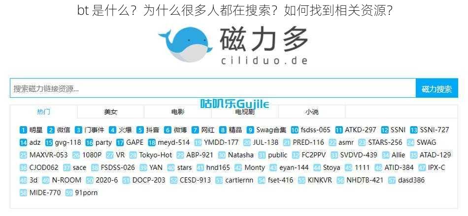 bt 是什么？为什么很多人都在搜索？如何找到相关资源？