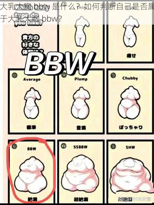 大乳大胸 bbw 是什么？如何判断自己是否属于大乳大胸 bbw？