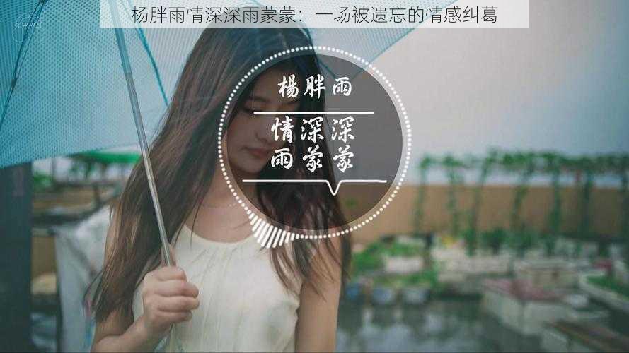 杨胖雨情深深雨蒙蒙：一场被遗忘的情感纠葛