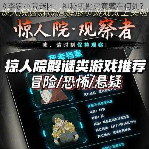 《李家小院谜团：神秘钥匙究竟藏在何处？》