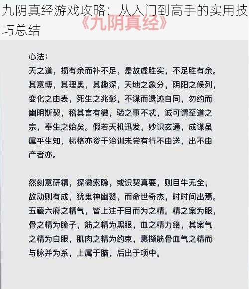 九阴真经游戏攻略：从入门到高手的实用技巧总结