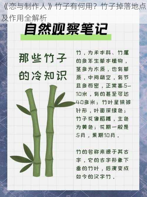 《恋与制作人》竹子有何用？竹子掉落地点及作用全解析