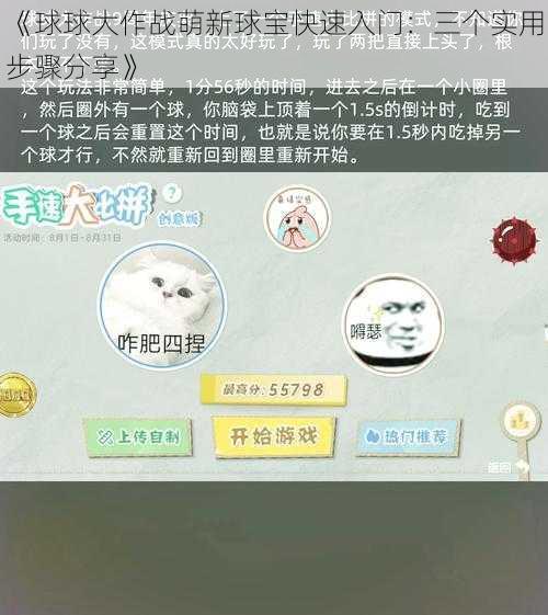 《球球大作战萌新球宝快速入门：三个实用步骤分享》