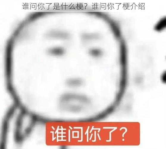 谁问你了是什么梗？谁问你了梗介绍