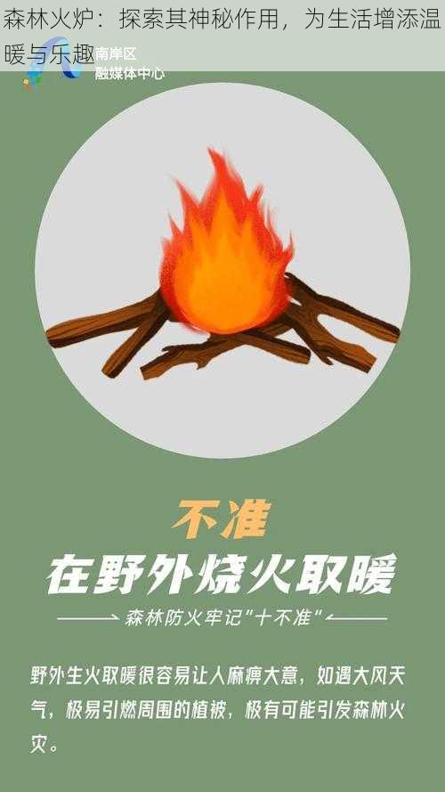 森林火炉：探索其神秘作用，为生活增添温暖与乐趣